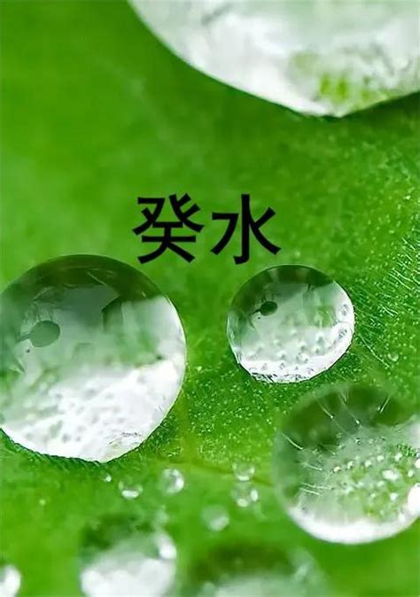 日主：壬水|日主天干为水是水命吗？日主天干为水的命理特征详解。